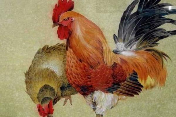 1945年出生的鸡：命运与人生的精彩篇章