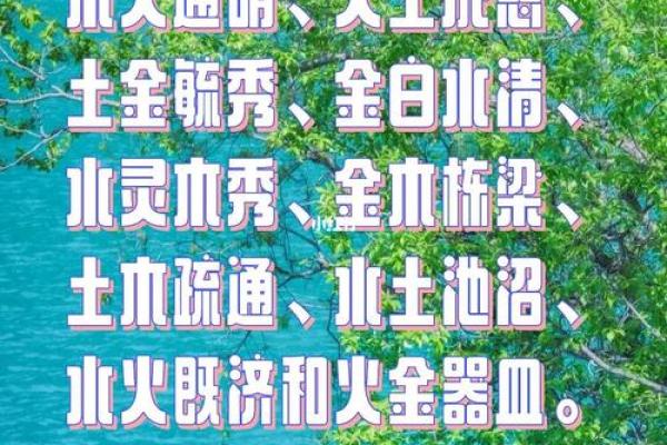 木命人的禁忌颜色分析与生活建议
