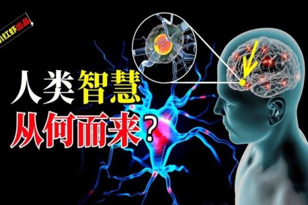 97丁丑年命理解析：揭示你的命运之钥与人生智慧