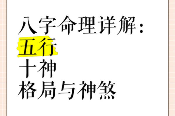 木子七的五行命理解析与个性特点
