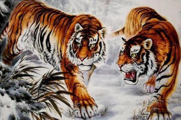 揭开1986年属虎的命运之谜：命理与人生的深刻启示