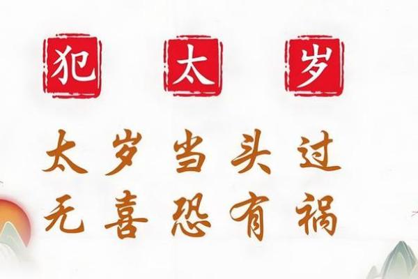 木命与生肖冲突的深层解析与化解之道