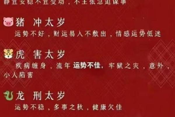 木命与生肖冲突的深层解析与化解之道
