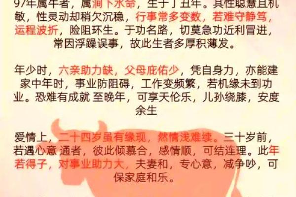 95岁生肖命运解读：走过岁月的智慧与人生的真谛