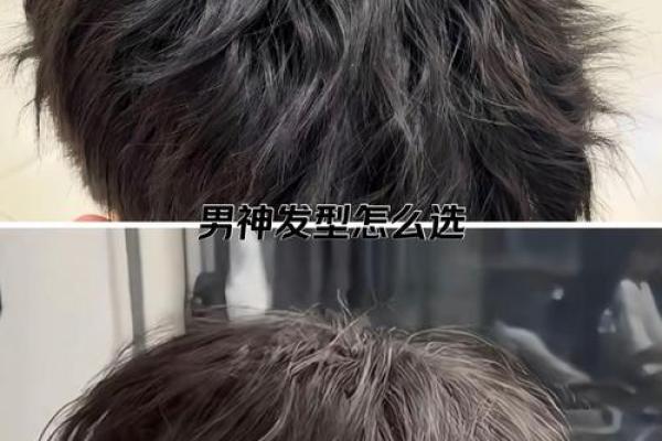 掌握发型秘笈:指头长毛命适合的发型推荐与解析 掌握发型秘笈:指头长毛命适合的发型推荐与解析