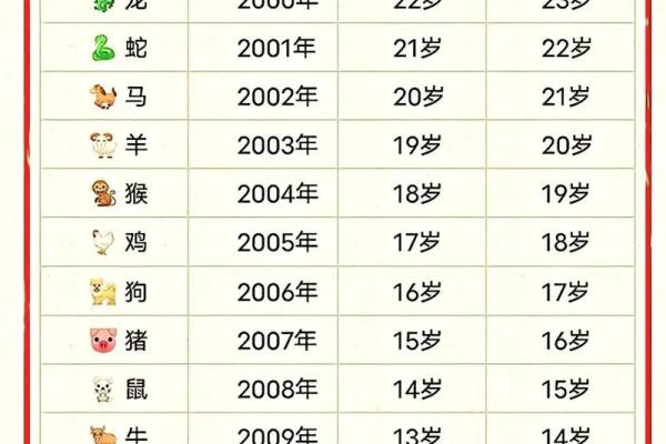 1963年兔年命格解析：生肖兔的性格与运势探讨