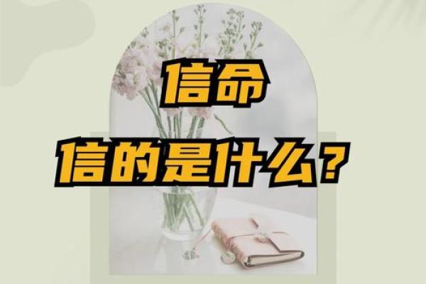 命字悬挂，何以为命？探索命运与选择间的微妙关系