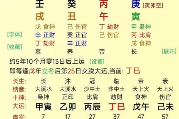 解析己巳甲戌戊午丙辰命理，探寻人生的智慧与方向