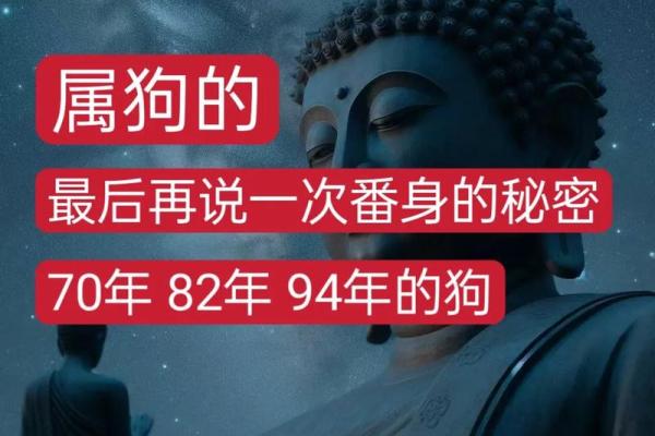 82年狗年命运解析：狗年出生的人该如何化解命中的禁忌与挑战