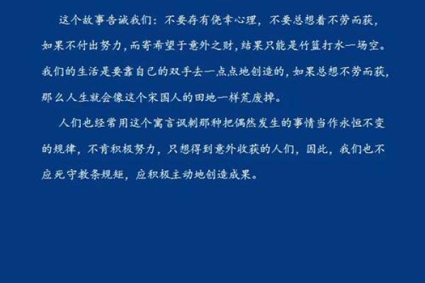 兔子男孩的命运之道：如何把握人生最好的机会