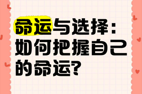 83年属女的命运与生活：如何把握自己的未来？
