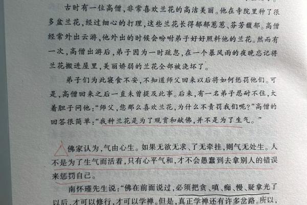 命不强的生肖女人：她们的内心世界与生活哲学