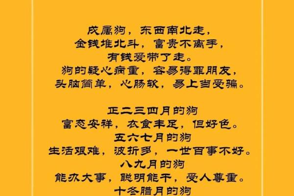 探秘阴金命：生肖与命理的深刻联系