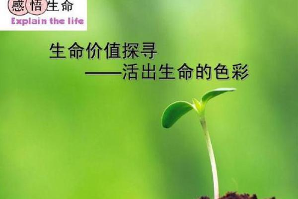 一命还一命:探寻生命的价值与意义 一命还一命:探寻生命的价值与意义