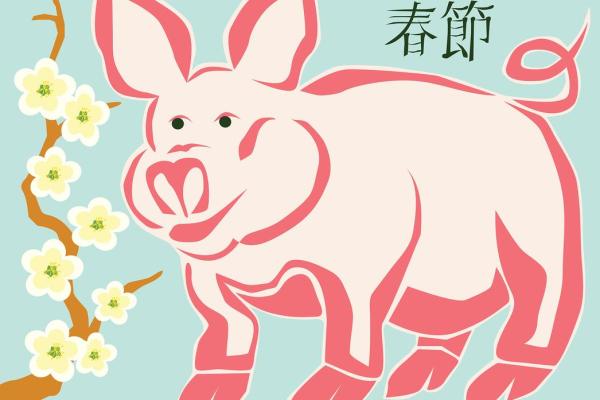 96年属猪男命格解析：性格、事业与情感的全面剖析
