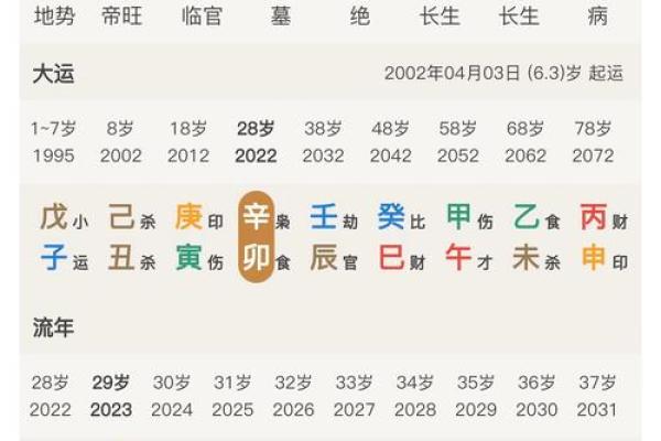 命理解码：谁是命中注定的富贵之人？