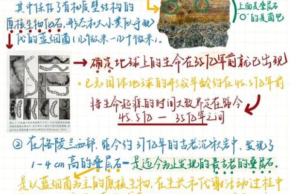 199年出生的人命运与性格解读：探索命理的奥秘