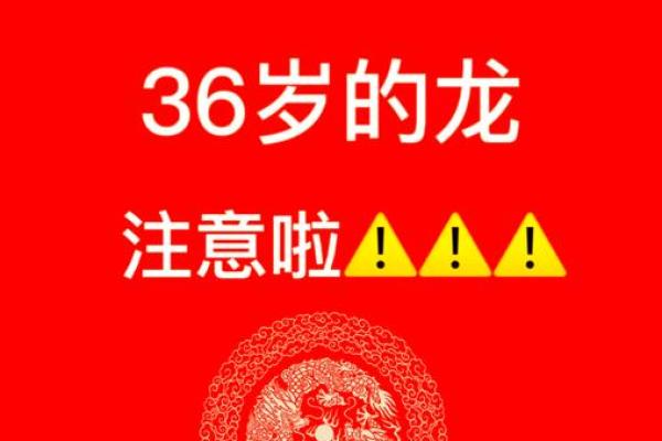 204年的龙命与人生机遇：解读龙的象征与幸运特质