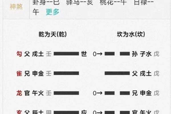 1956年命卦解析：你的人生轨迹与宇宙的奥秘相连接
