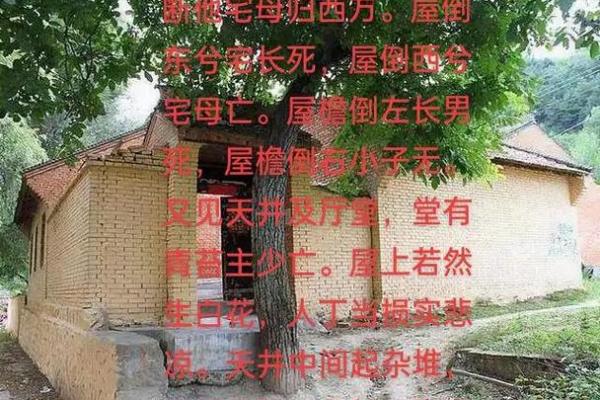 土命人士适合的居住环境和风水布局解析 土命人士适合的居住环境和风水布局解析