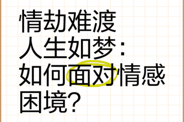 命里缺妻：破解人生中的情感之谜