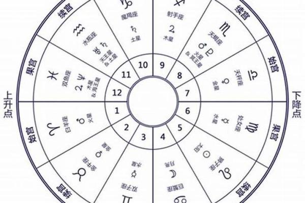 命宫与生肖：解码命盘中的生肖密码，探寻命理奥秘