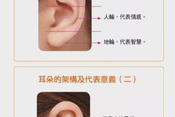 鹿与命理的完美搭配：探寻生肖与命格的和谐之道