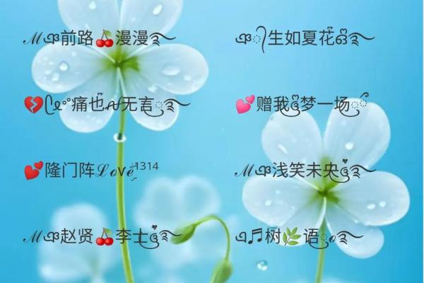 命里缺水的你，最适合的个性网名推荐与解析！