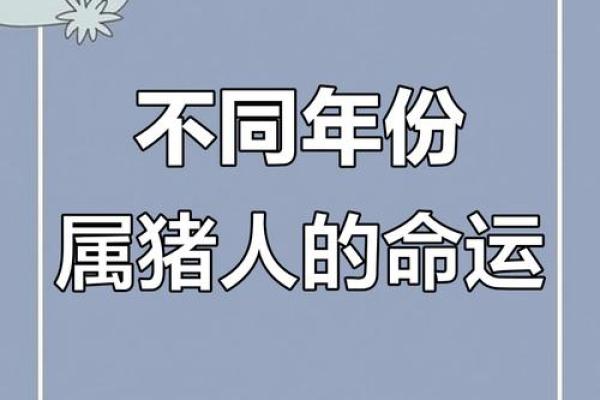 揭秘猪命：生肖猪的命理与性格分析，让你更了解自己！