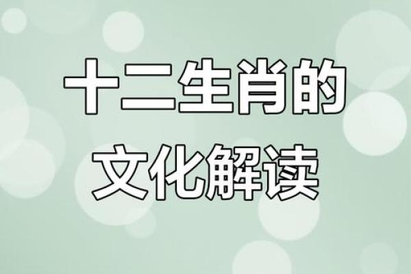探秘不同生肖的命运：哪些生肖命硬又幸运？
