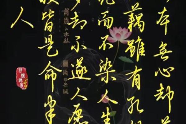 命运与个体：命由心生，运由行造的深刻哲理