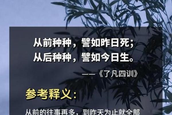 探秘“接命”:古老文化中的智慧与人生哲学 探秘“接命”:古老文化中的智慧与人生哲学