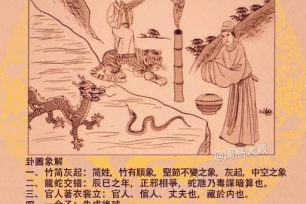 金命生肖的奥秘：探寻今年的运势与命理智慧