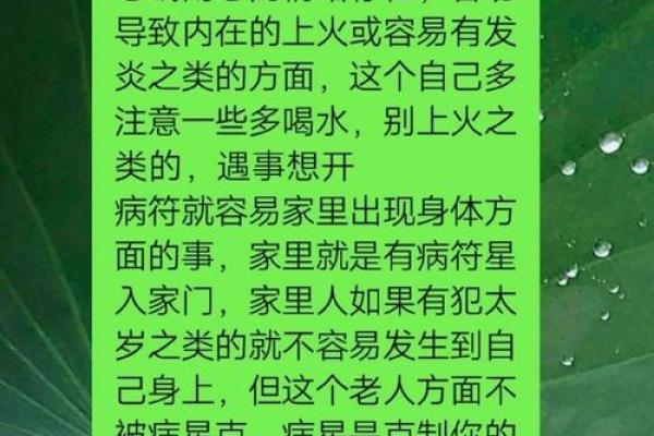 算命丫头：命里注定的神秘与人生的启示