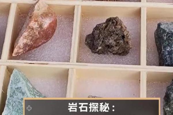 探秘草神:二命和满命的区别与奥秘 探秘草神:二命和满命的区别与奥秘