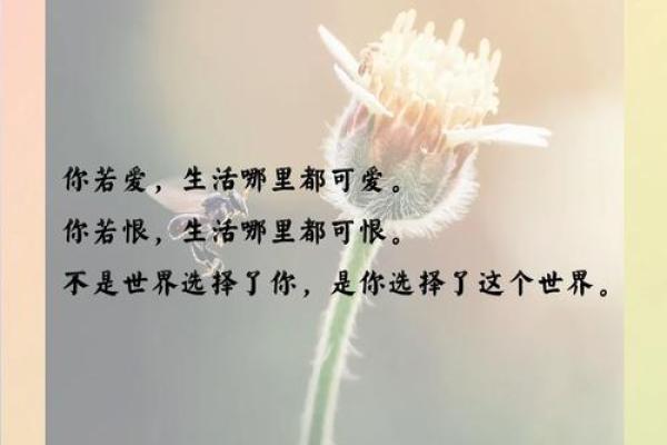 揭开“好糊弄的人”的命运之谜,生活中的智慧与启示 揭开“好糊弄的人”的命运之谜,生活中的智慧与启示