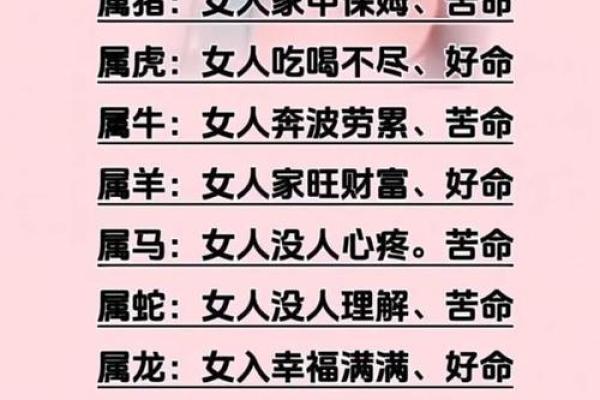 金命马的职业选择与适合工作探讨
