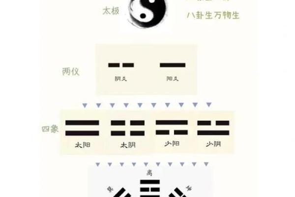 算卦松鼠命的神秘寓意与八卦文化的结合探索