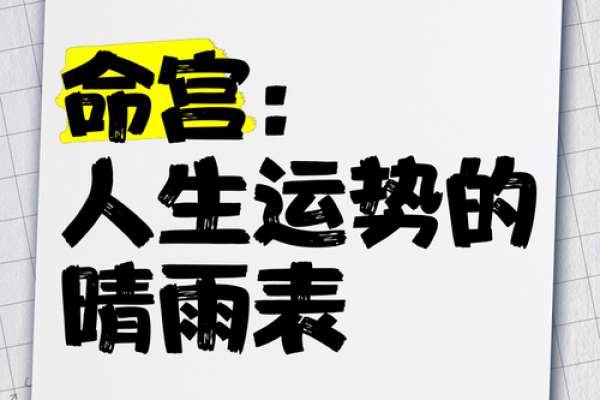 命盘中的权力象征：什么因素能助你步入官场？
