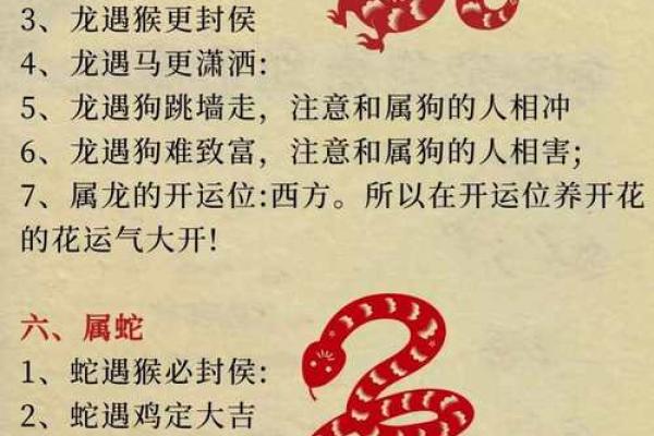 2023年猴宝宝的命运揭秘：揭示五行与生肖的奇妙关系
