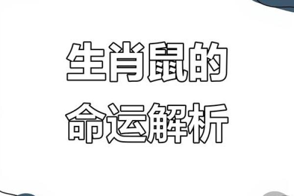 属鼠的96年命，探索人生中的智慧与财富之路
