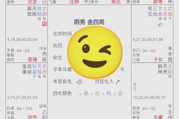 数字命盘颜色揭秘：如何通过色彩理解个人特质与命运