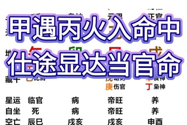 命盘中的官运：如何通过八字提升职场表现与领导力