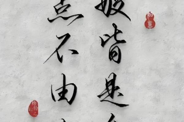 命不是骰子，我们掌握自己的命运与选择