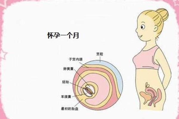 揭开12星座长大后的命运面纱：成长与人生的奇妙旅程