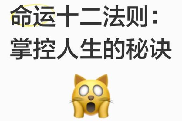 探秘12命：命运的密码与人生的方向