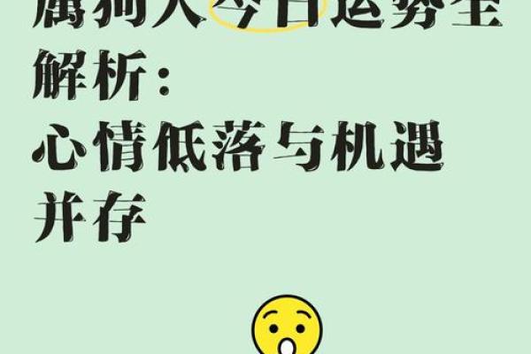 2017年属狗的命理解析:揭秘你命中的幸运与挑战! 2017年属狗的命理解析:揭秘你命中的幸运与挑战!