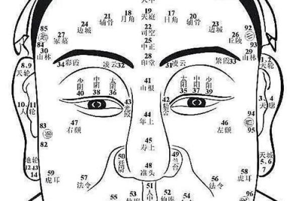 左眼皮有疤痕的命运解析：神秘的面相及其影响