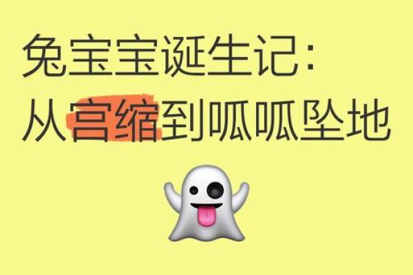兔宝宝亥时出生，解析其命运与未来的奇妙旅程