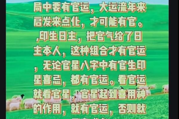探索八字土命五行缺水的神秘命理与生活智慧